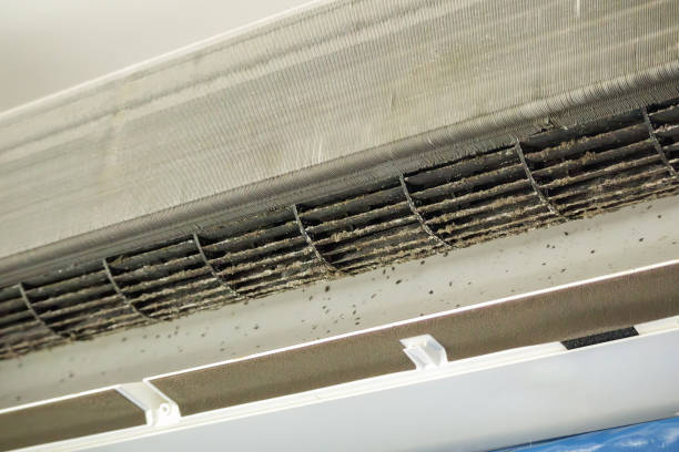 Best Air Duct Cleaning Near Me  in Hawthorne, CA